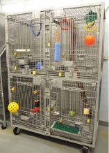 Cages with equipment